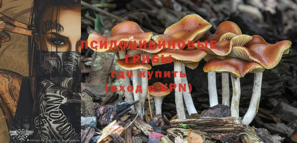 марки lsd Баксан